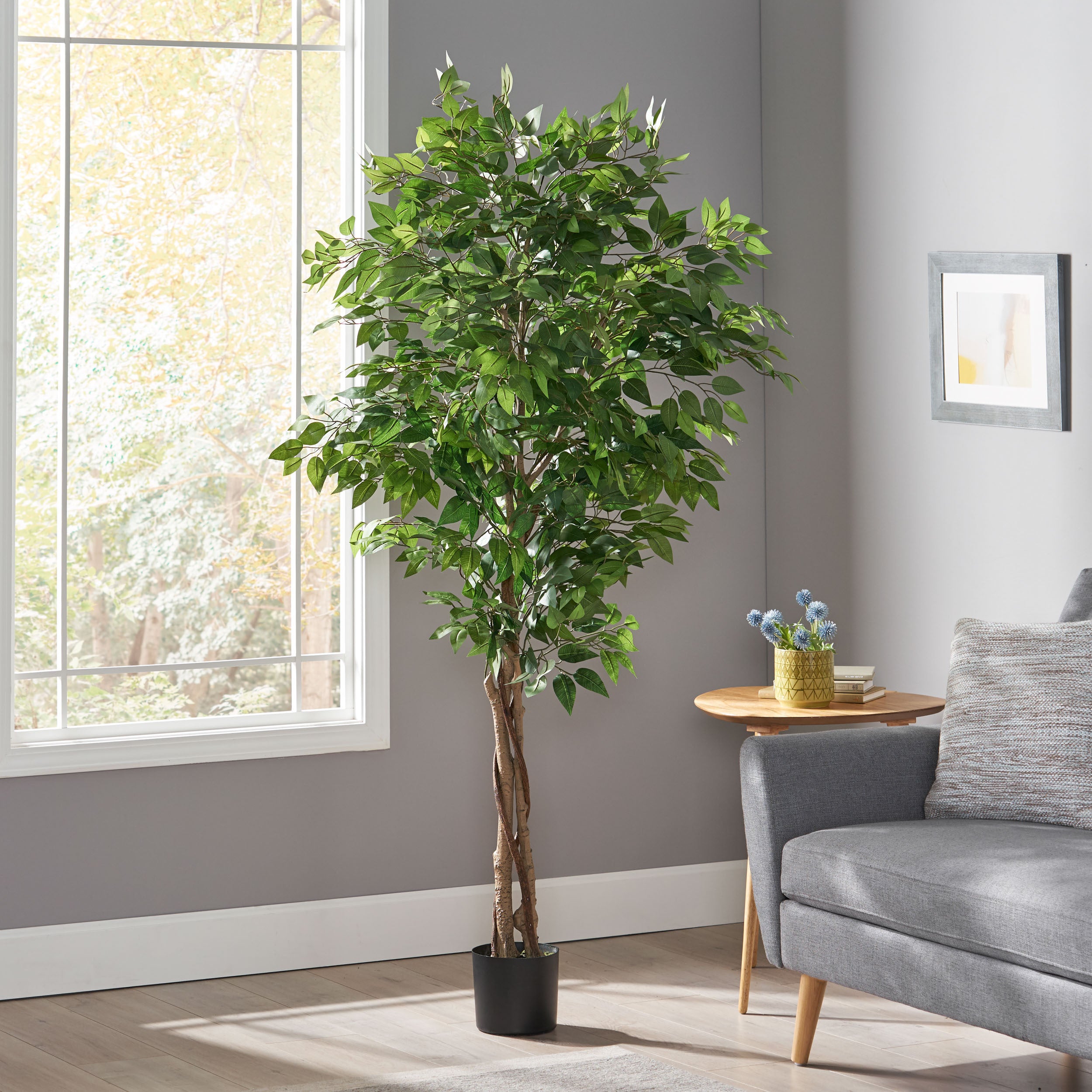Elevate Your Space with a 180CM Artificial Ficus Tree - Low Maintenance Elegance